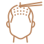 Graft Implantation